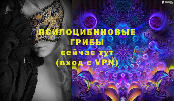 ешки Аркадак