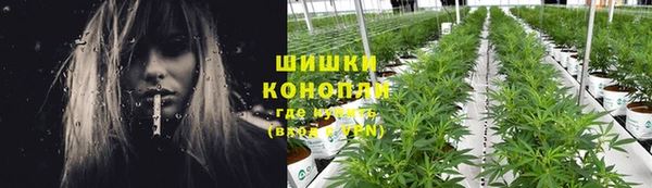 кокс Арсеньев