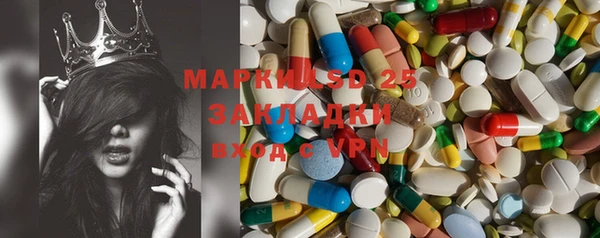 ешки Аркадак